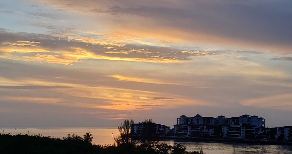 Don’t Let the Food Touch