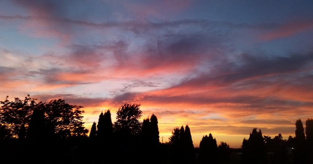 Back to the&nbsp;Basics