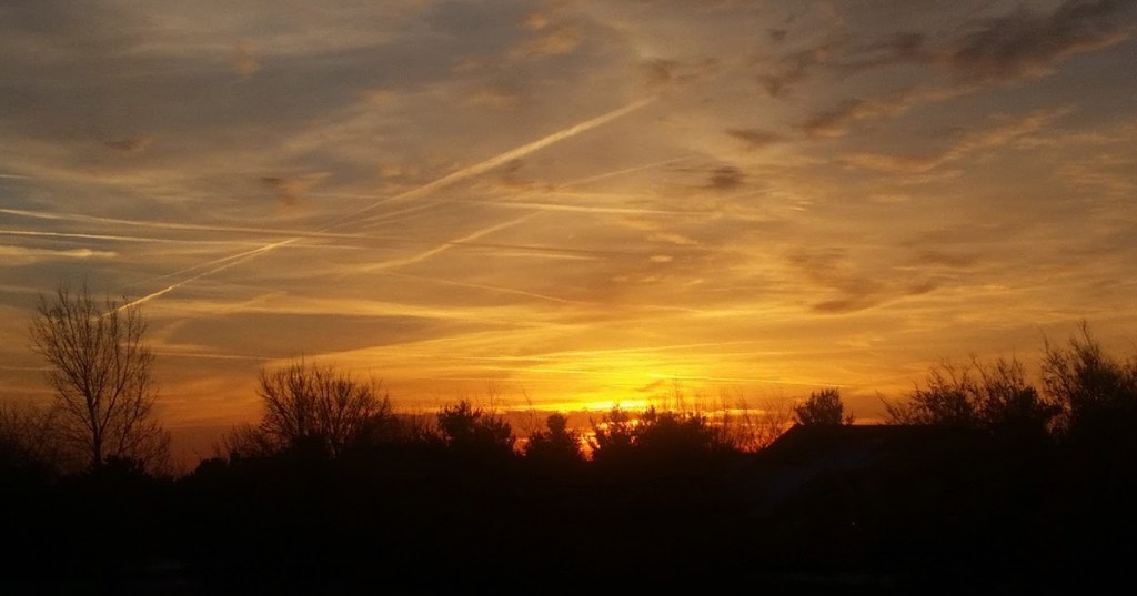 Have You Ever Thought About the Chocolate Chip&nbsp;Cookie?