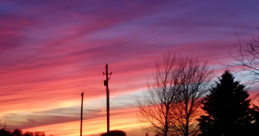 When the Barking is&nbsp;Different