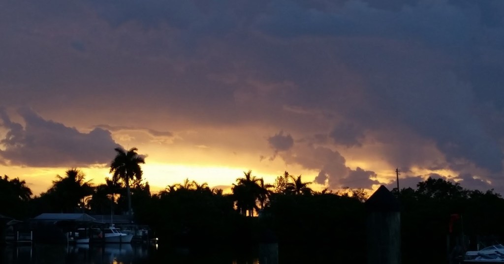 The Beauty of the&nbsp;Rain