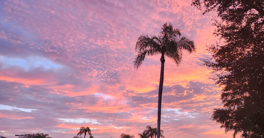 A Piece of&nbsp;Home