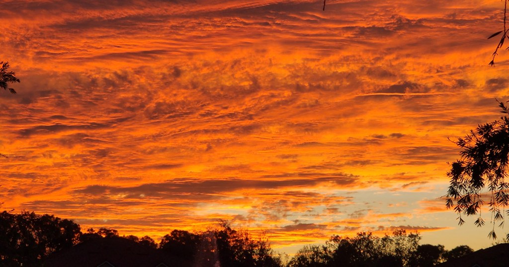 Pizza Rolls in&nbsp;Heaven