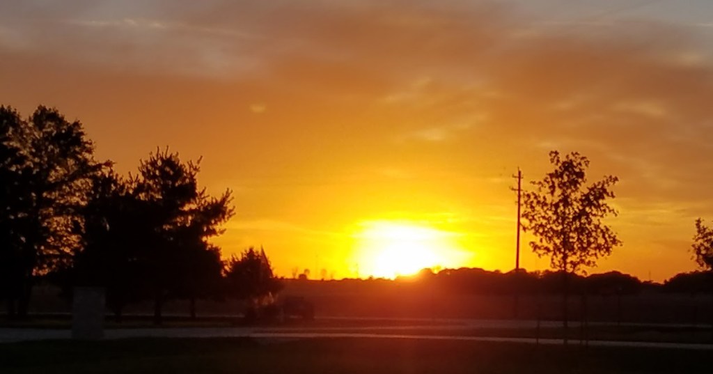 Remembering Our Vets