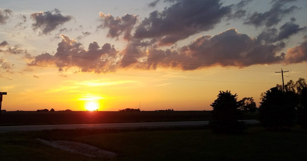 Cookies and the&nbsp;Nativity