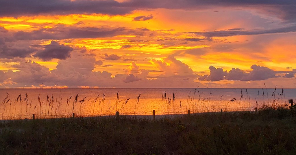 Mary Did You&nbsp;Know?