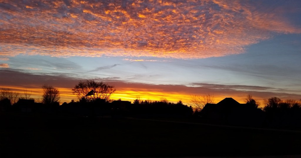 So Much to be Thankful&nbsp;For