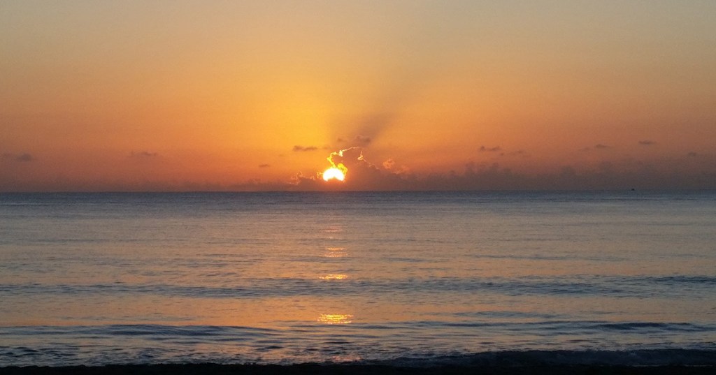 Not How Many but&nbsp;What