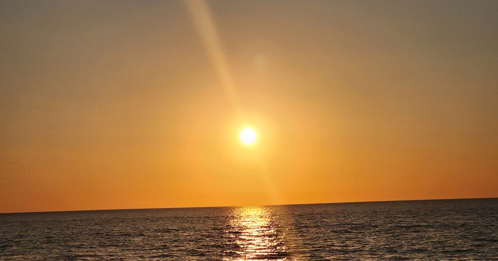 The Cookies and the&nbsp;Kids