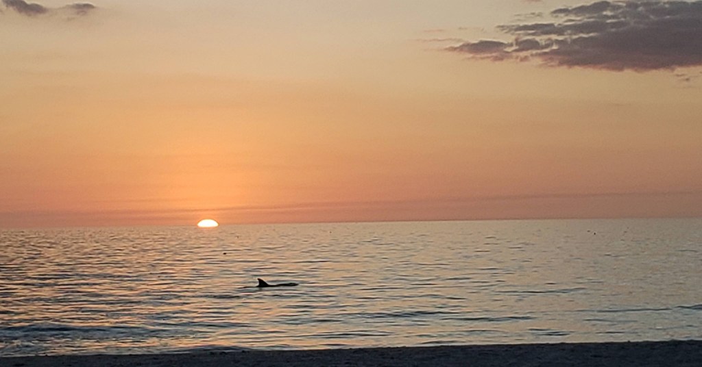 The Grub & The&nbsp;Memories