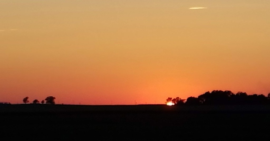 The Xbox and The Fishing&nbsp;Pole