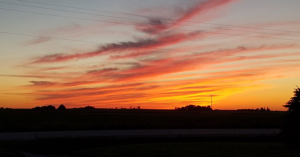 When a Song&nbsp;Speaks