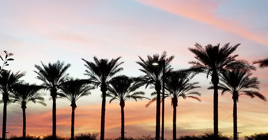 The Basics, the&nbsp;Foundations