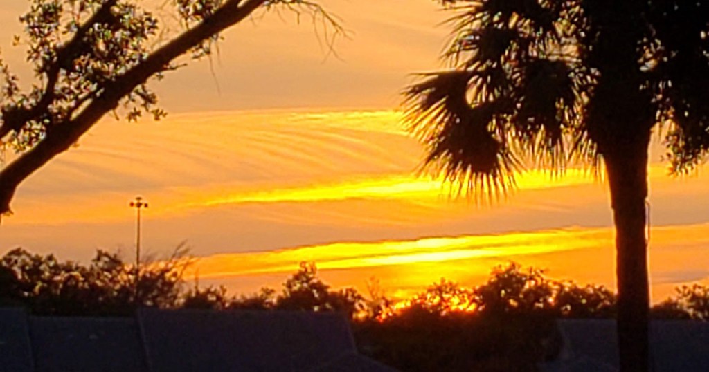 Comfort in a&nbsp;Psalm