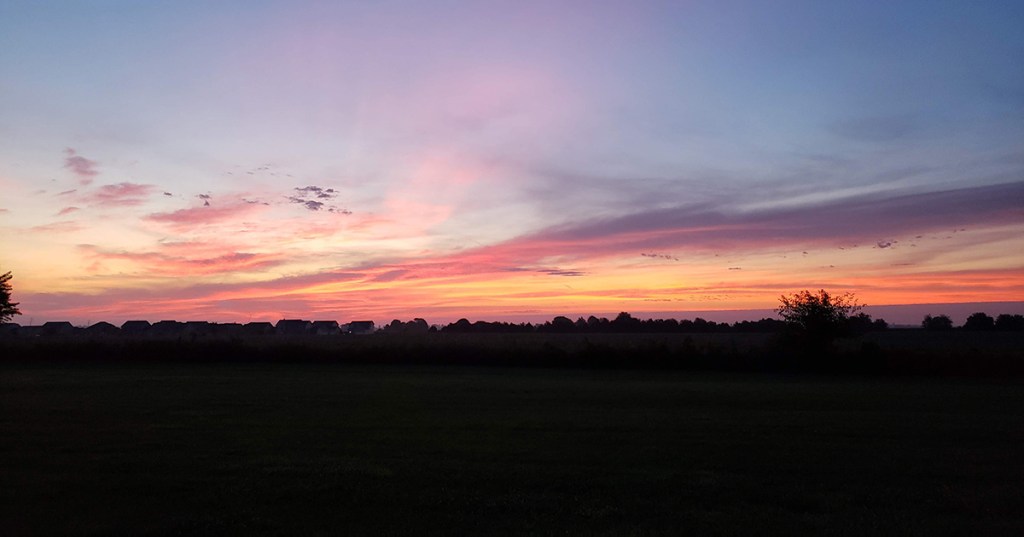 What’s in Store&nbsp;Wednesday