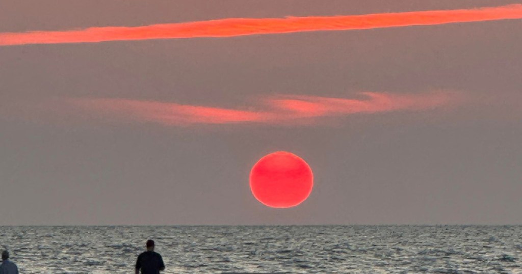 A Loaf of&nbsp;Bread