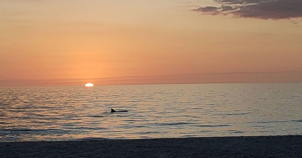 Unbelievable… Believe