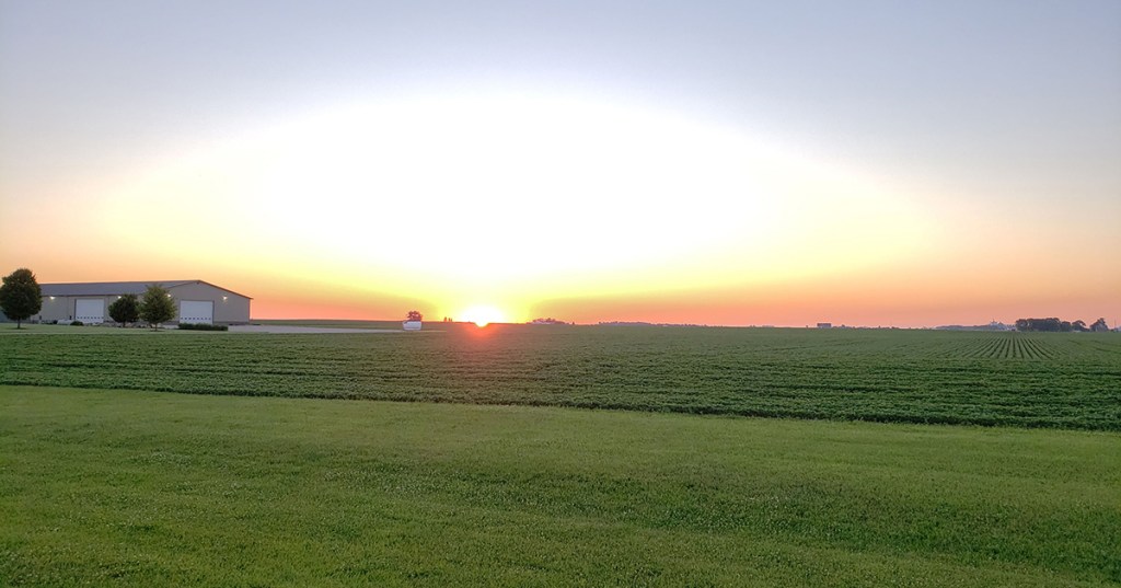 Nuisance – It’s&nbsp;Ok