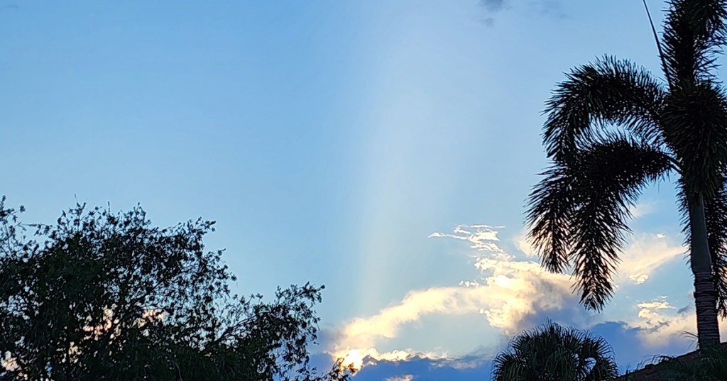 From Book to&nbsp;Blog