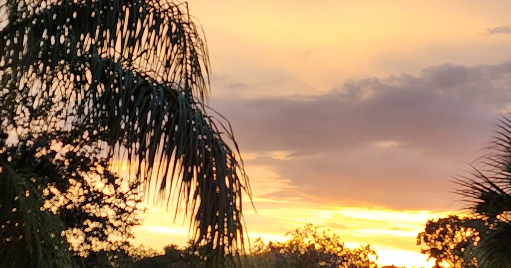 Believe – B &&nbsp;D