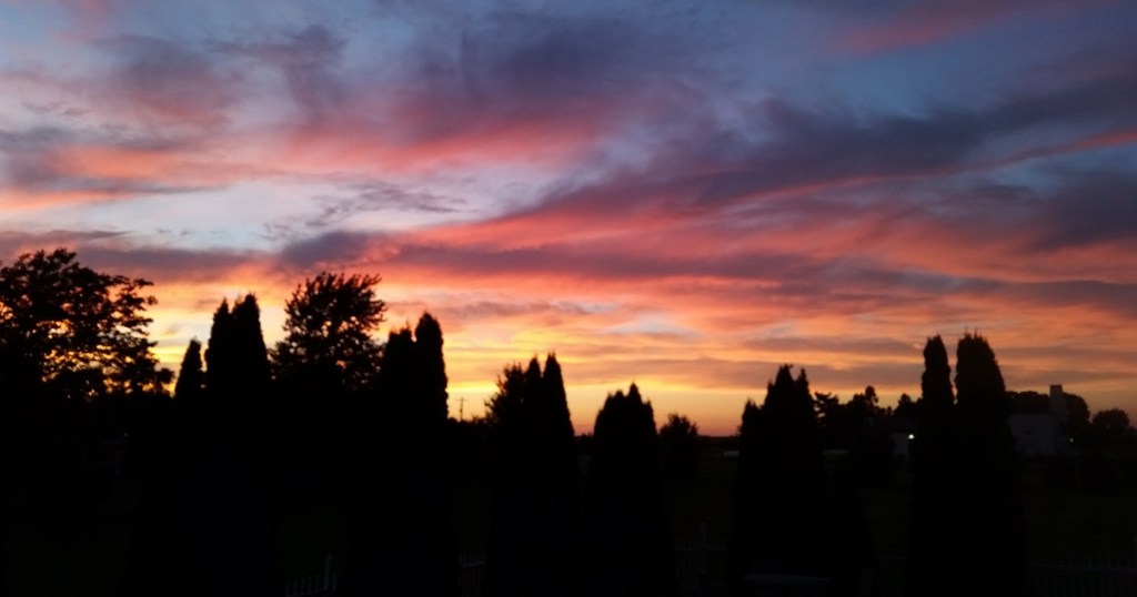 Father in the&nbsp;Pool