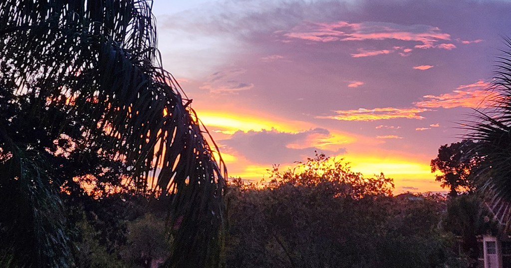 A Lesson from&nbsp;Dory