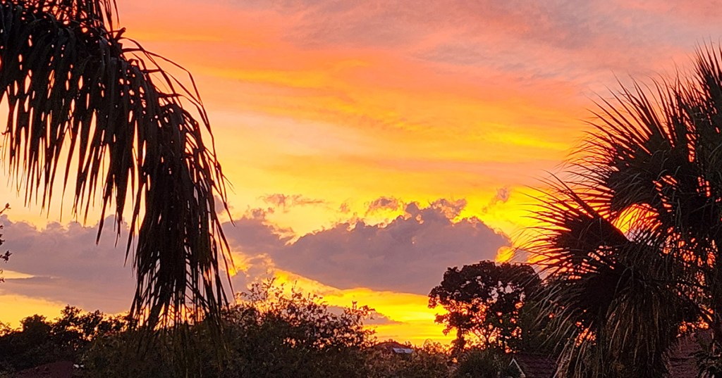 Trimming and Memories