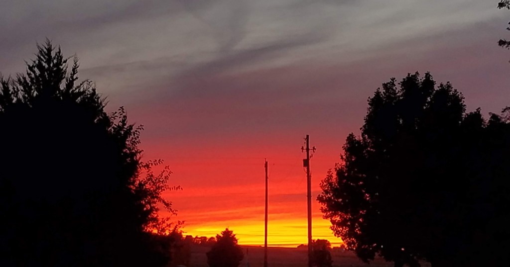 Reflections & Commitments