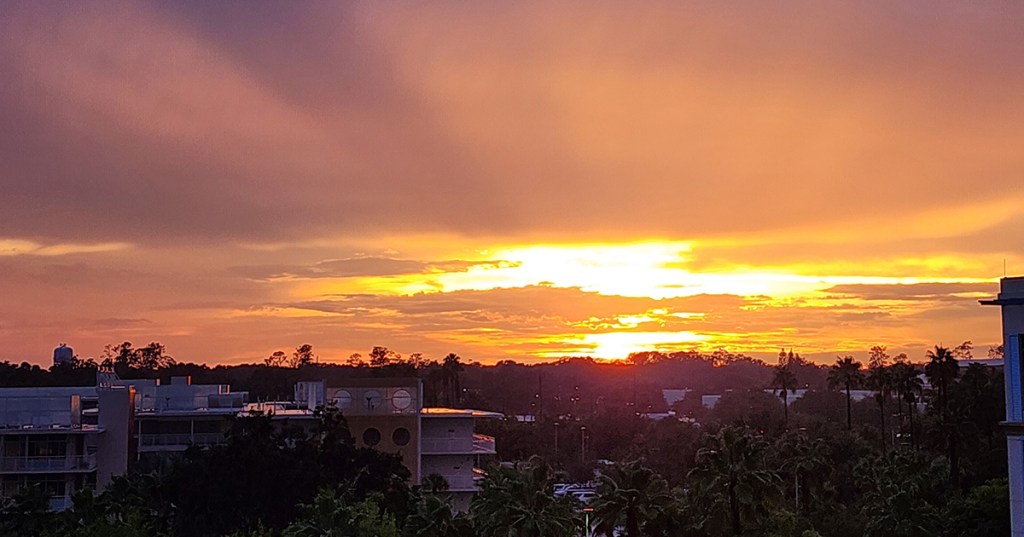 Ya, Say I&nbsp;Won’t