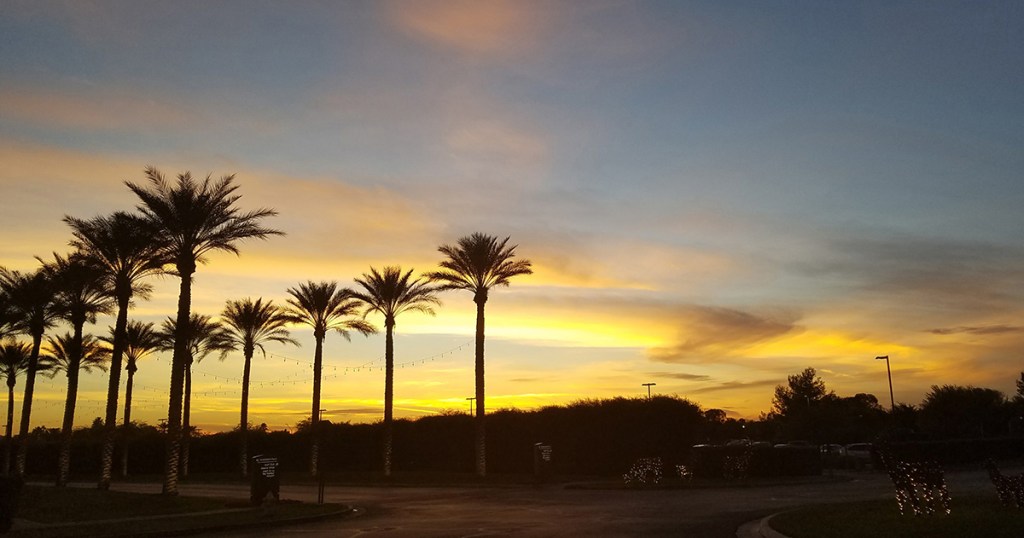 Christmas Update-Emily Rea