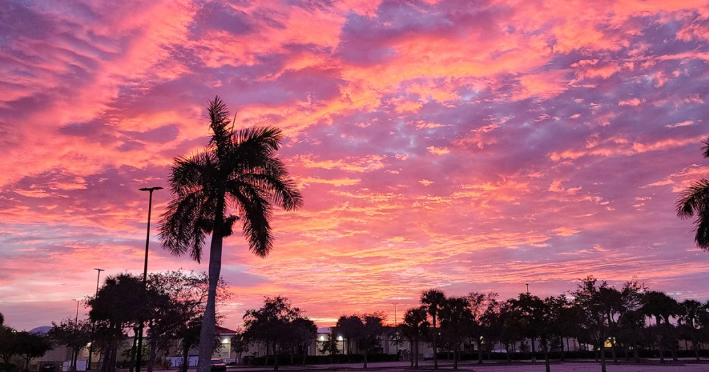 A Prayer for&nbsp;2024