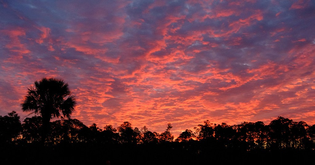 What Would Happen&nbsp;If…