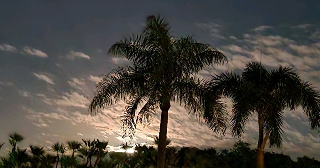 Back with My&nbsp;Buddy