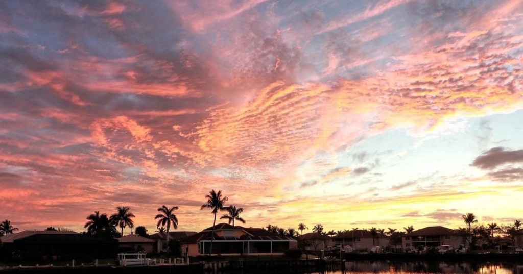 Chocolate Chips and&nbsp;Father