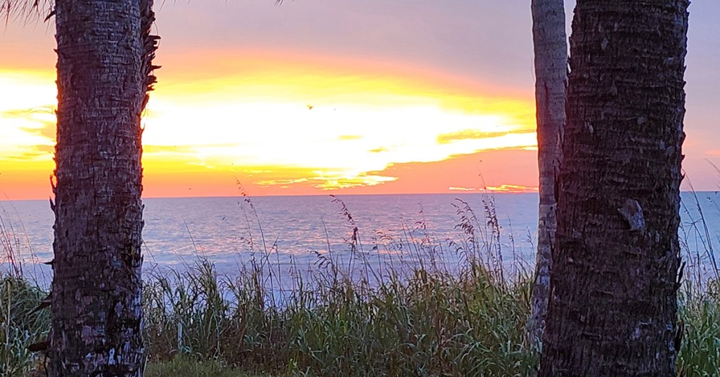 Forgiveness Starts in the&nbsp;Mirror