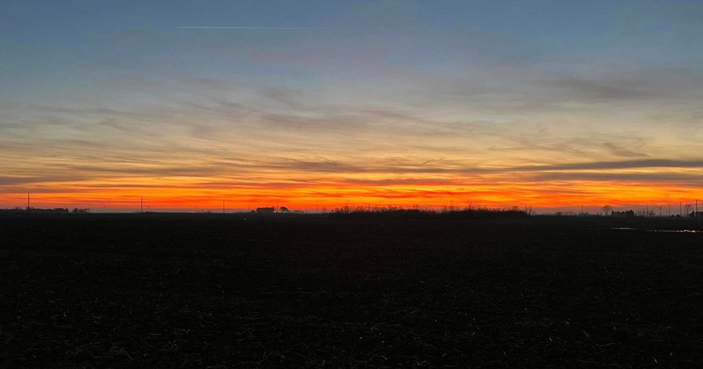 Walking in the Wilderness