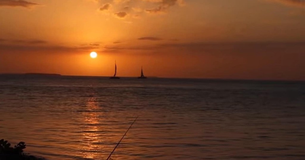 Twinkling of the&nbsp;Stars