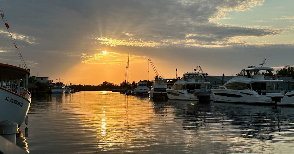 “Joe” and the&nbsp;Gym