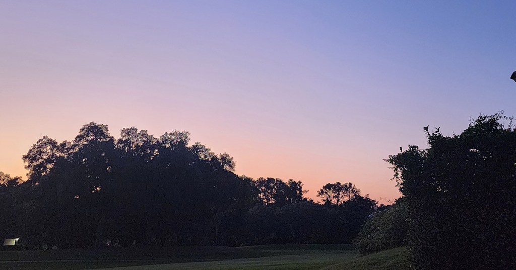 Focus on the Good&nbsp;Shots