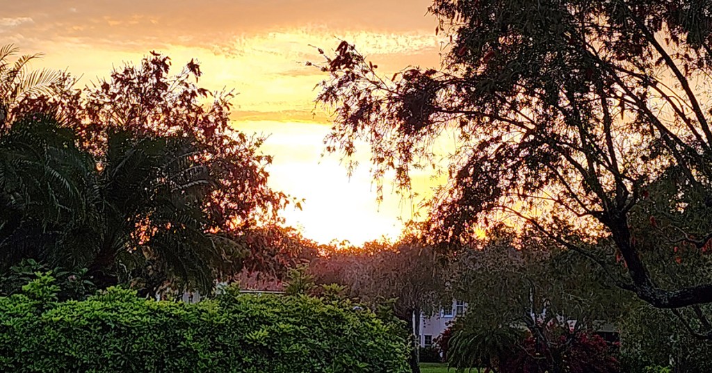 Father and the&nbsp;Dog