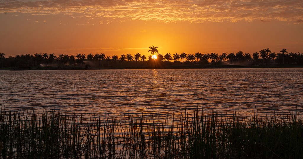 The Heart of His&nbsp;Children