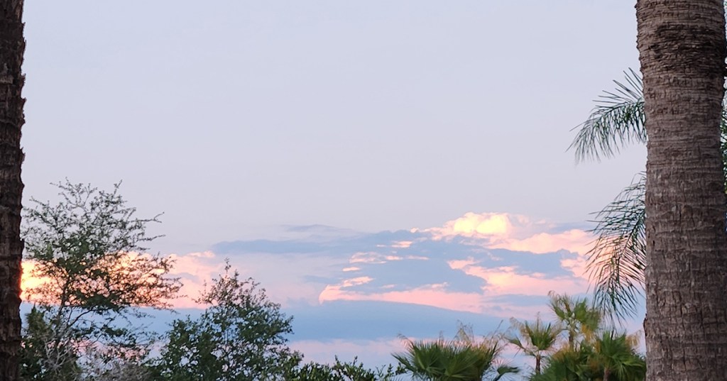 Mopping…ugh – Or was&nbsp;It?