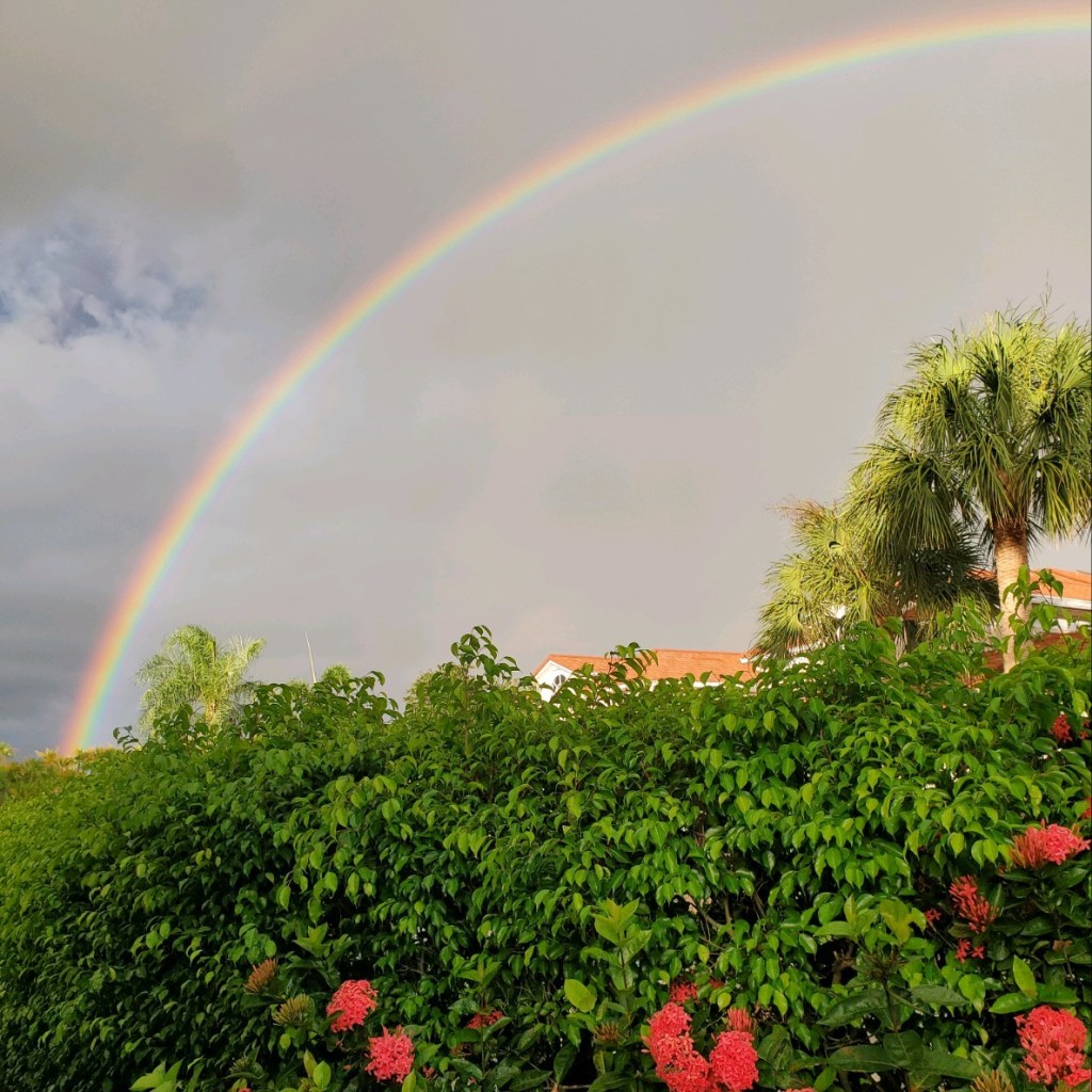 Weathering the Storm