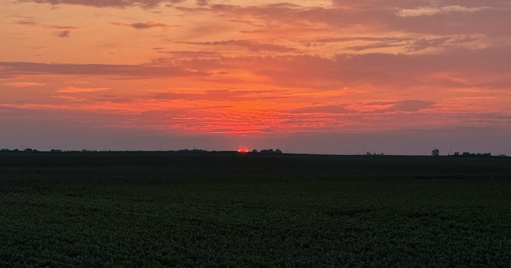 What Can I Do for You&nbsp;Today