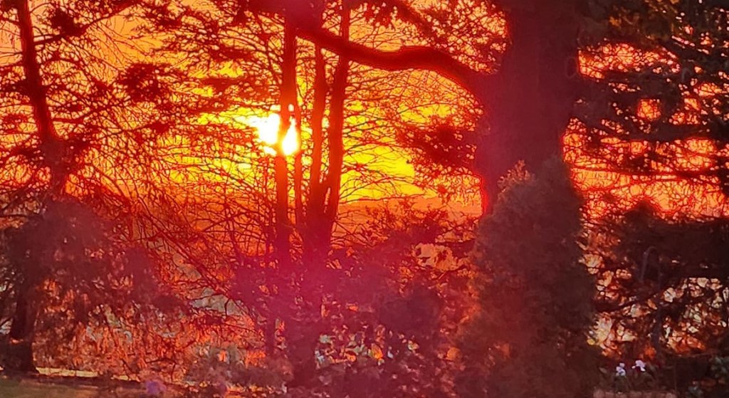 Pssst…It Will Get&nbsp;Out