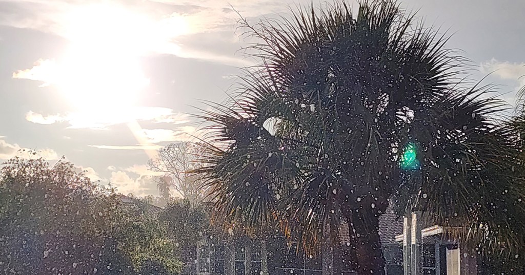 Look I Can Do These Cool&nbsp;Things