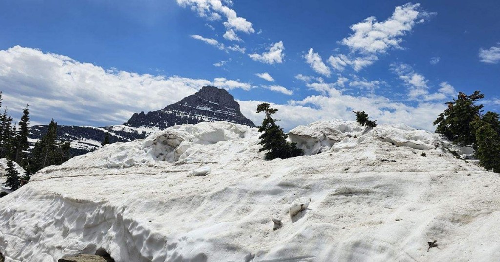 Different but Together