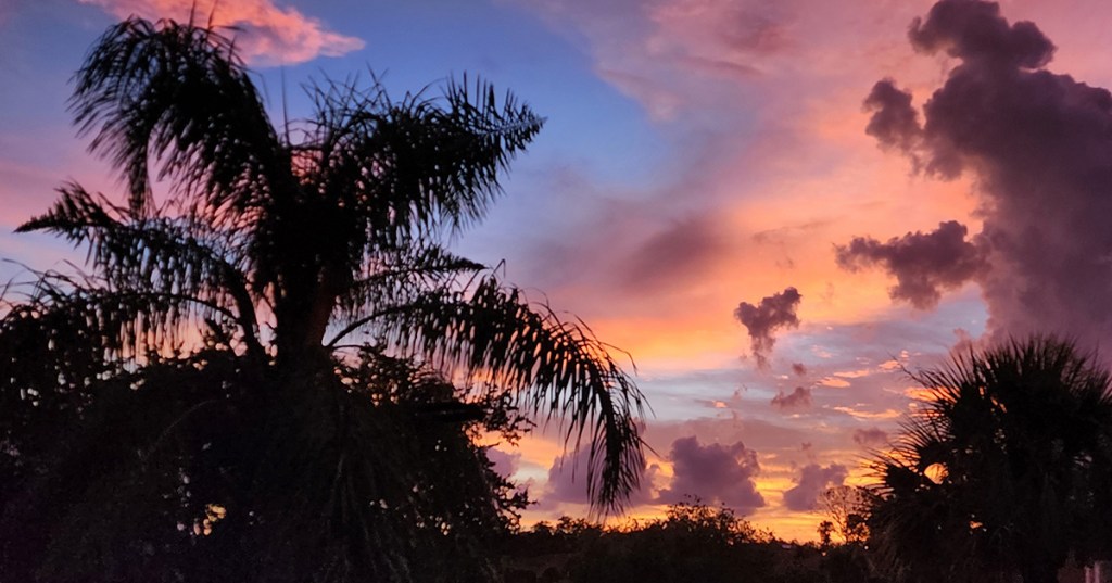 The I in&nbsp;Forgiveness