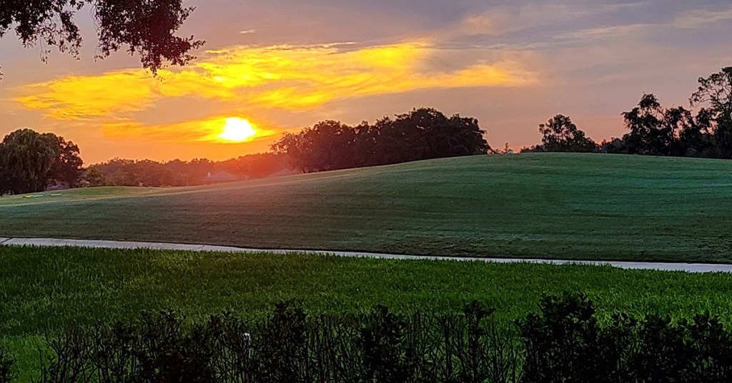 Just Make it a Good&nbsp;Day