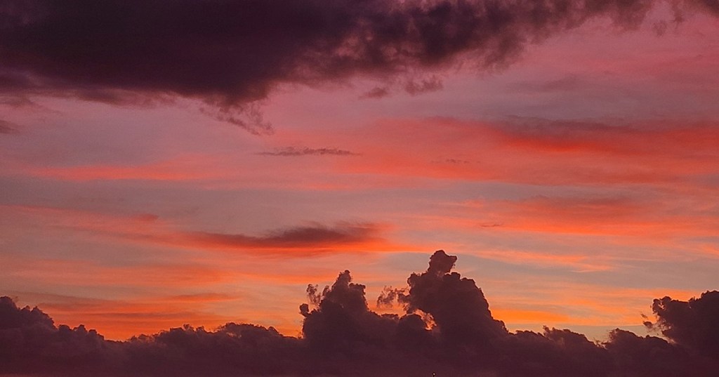 “Would You Like&nbsp;Some?”